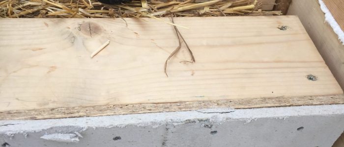 maison passive bois paille