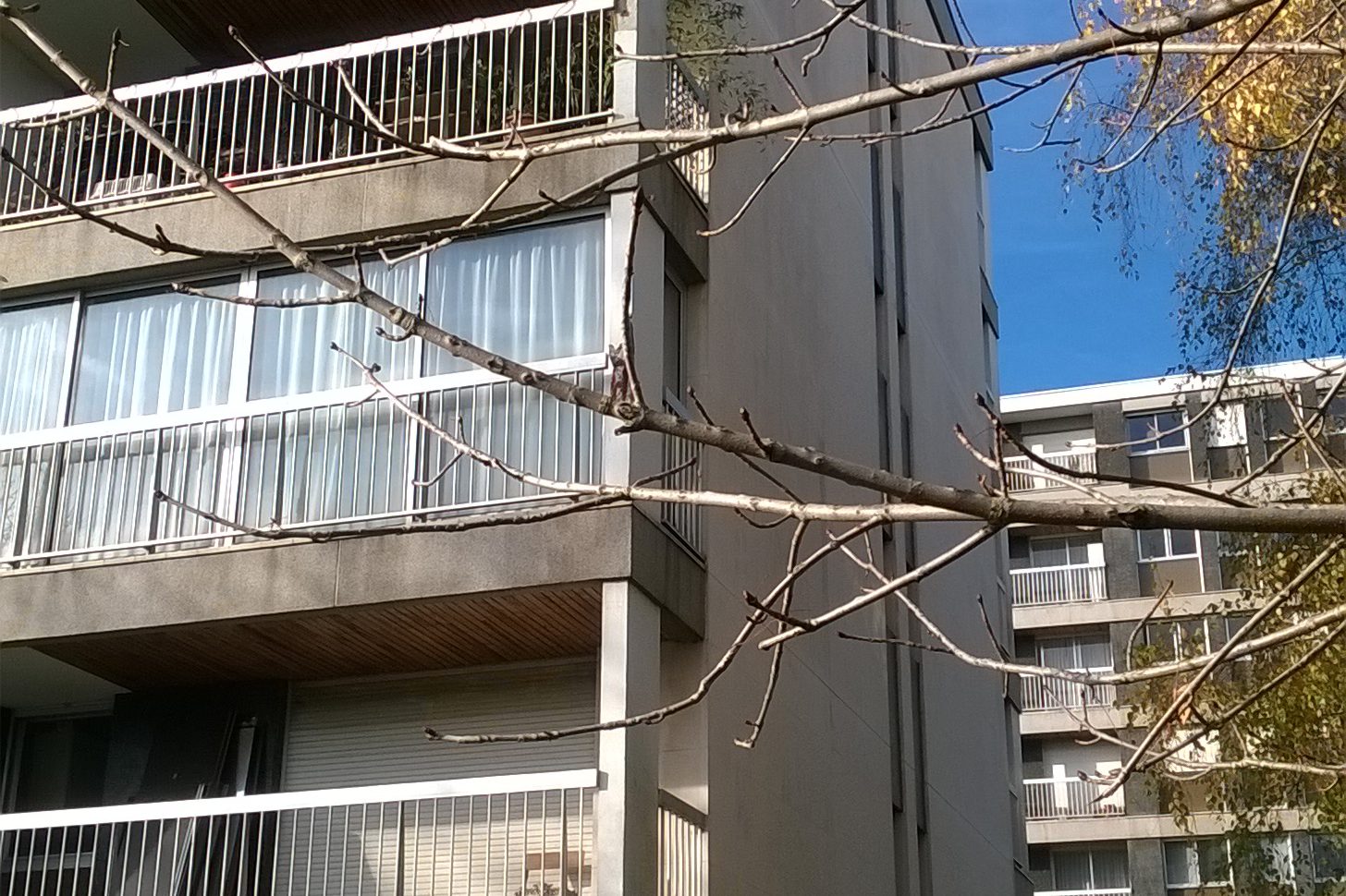 #renovationthermiquecopro #doucetarchitectes